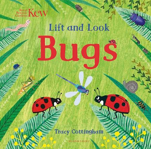Kew: Lift and Look Bugs Kew: Lift and Look Bugs