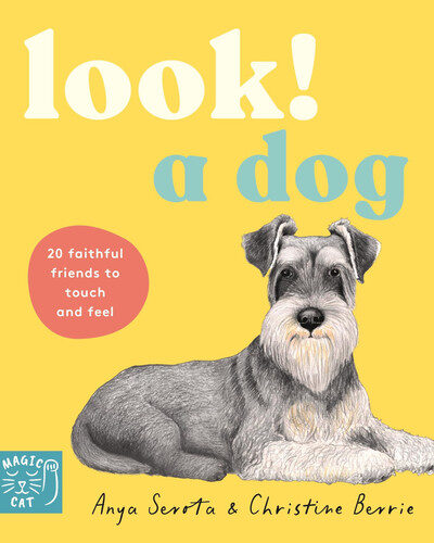 LOOK! A Dog LOOK! A Dog
