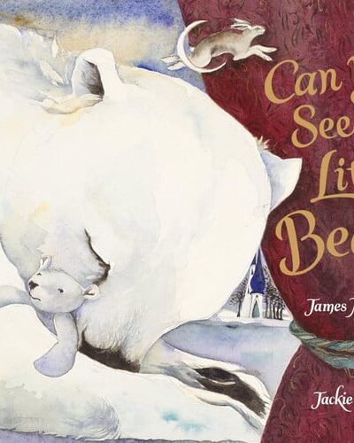 Can You See a Little Bear?