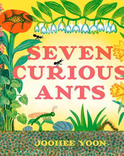 Seven Curious Ants Seven Curious Ants