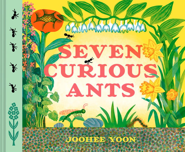 Seven Curious Ants Seven Curious Ants