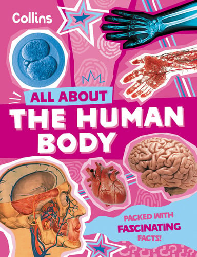 The Human Body : Discover Fascinating Facts About Our Amazing Anatomy