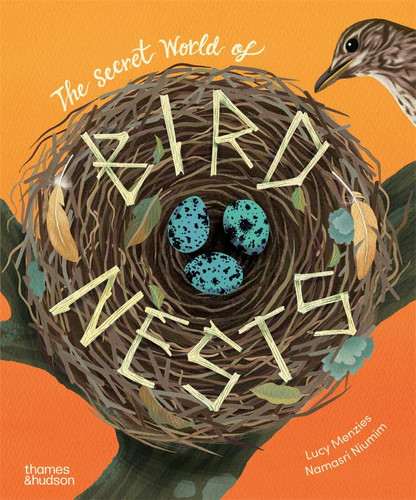 The Secret World of Bird Nests The Secret World of Bird Nests