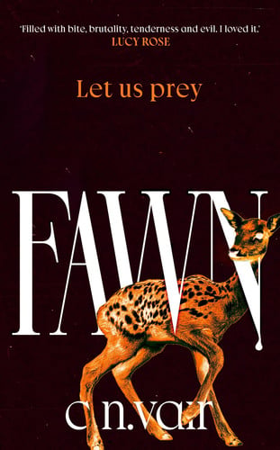 Fawn Fawn