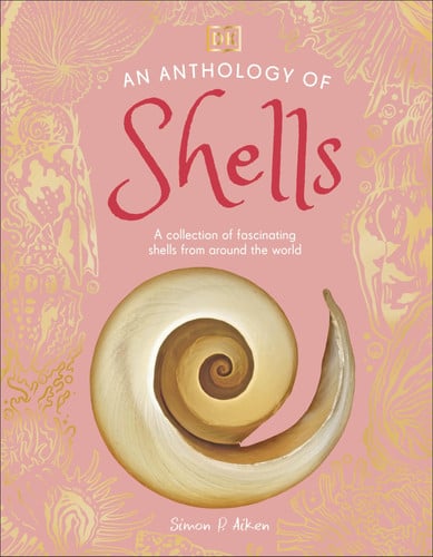An Anthology of Shells : A Collection of Fascinating Shells from Around the World An Anthology of Shells : A Collection of Fascinating Shells from Around the World