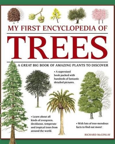 My First Encyclopedia of Trees (giant Size)